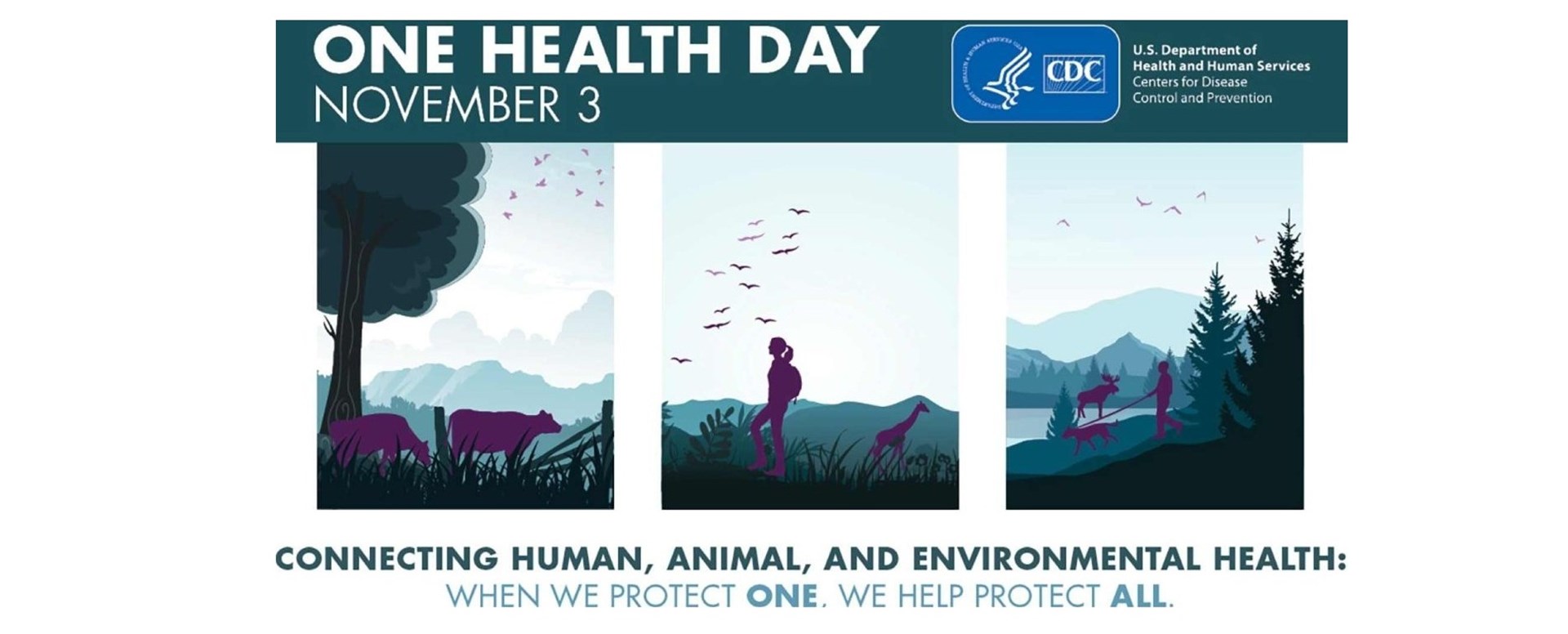 One Health Day