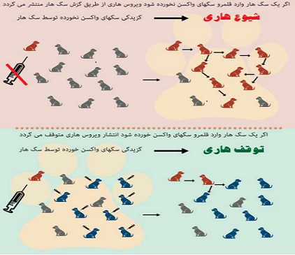 وبینار" مدیریت پایدار جمعیت سگ های پرسه زن و پیشگیری از هاری در مناطق حاشیه شهر تبریز "