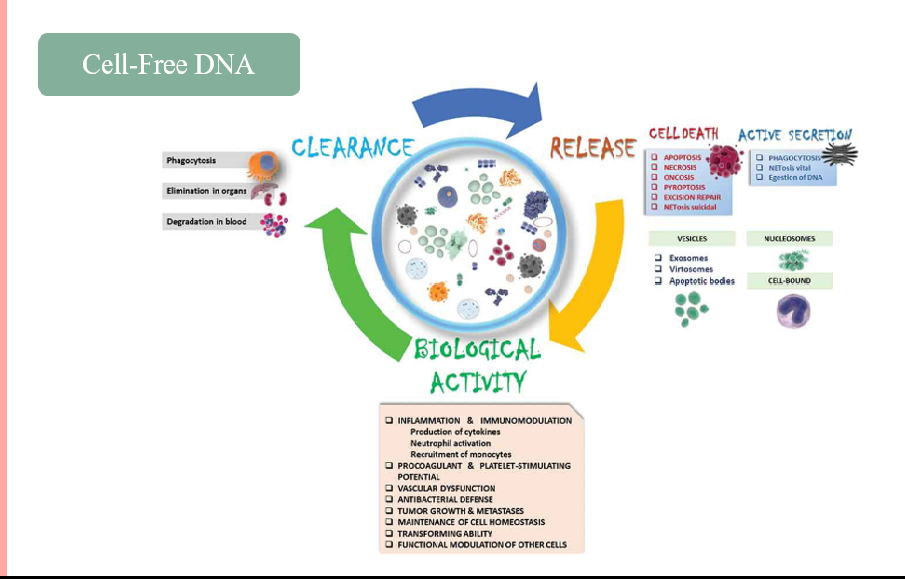 وبینار" کاربرد Cell free DNA در تشخیص اکینوکوکوزیس"